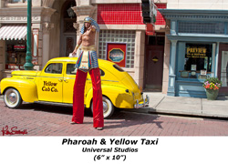 Pharoah and Yellow Taxi T